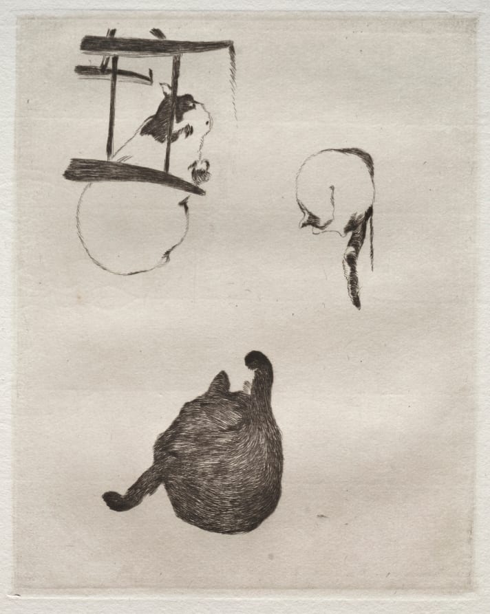 The Cats — artwork