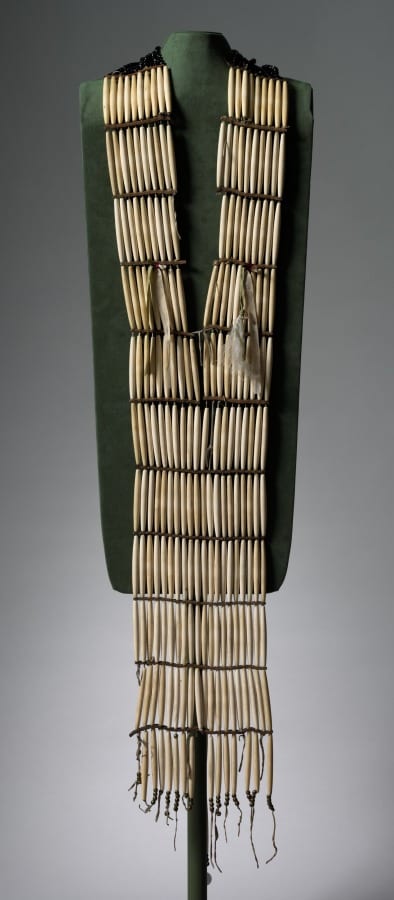 Hair-Pipe Necklace — artwork