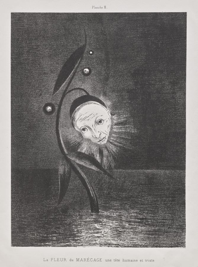 The Marsh Flower, a Sad Human Head — artwork